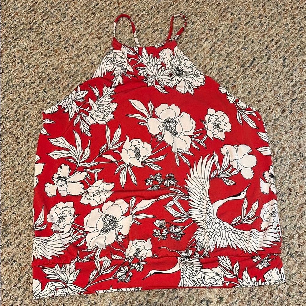 Express Red and White Fitted Crop Tank Top